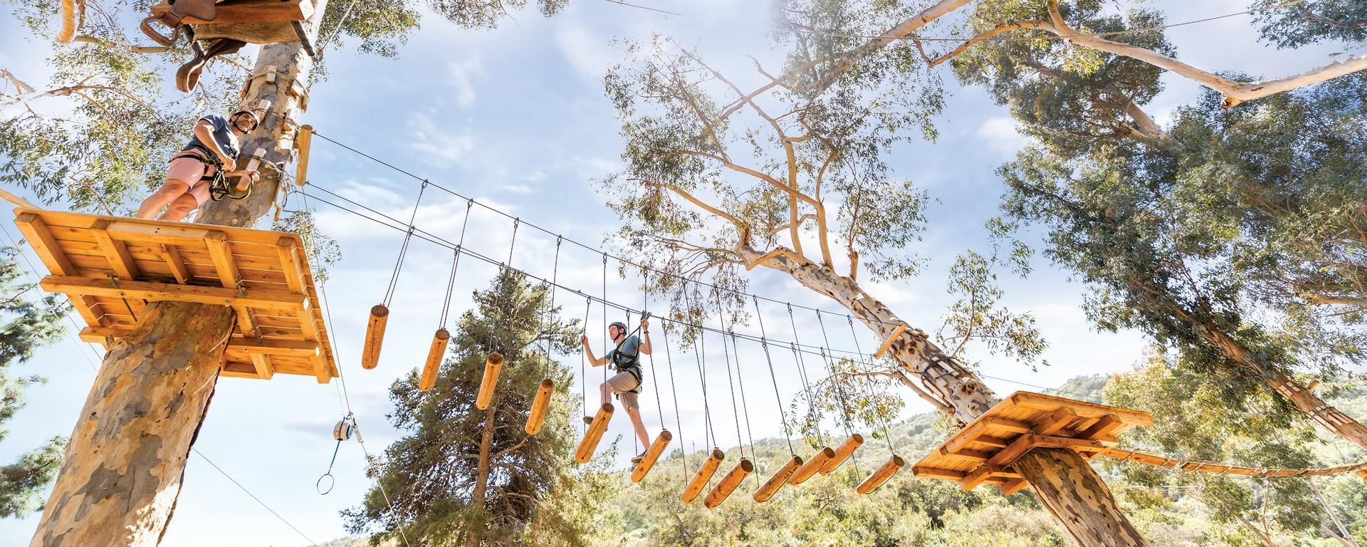 Catalina Aerial Adventure ropes course